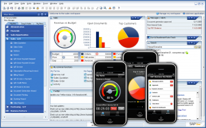 Accounts software for small businesses